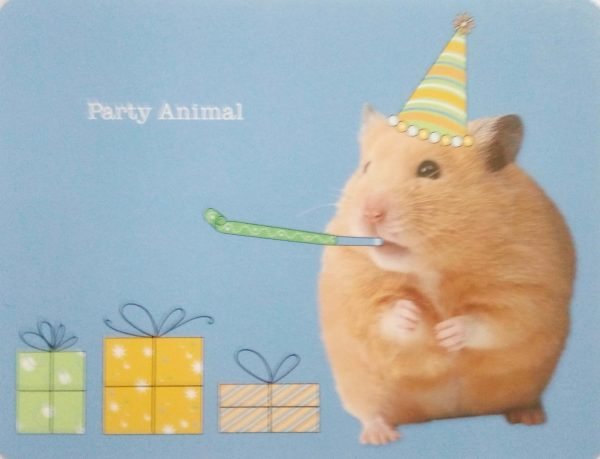 Birthday-6700807241-Party Animal