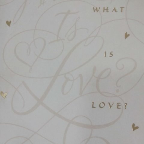 Wedding-4541614769-What Is Love?