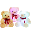 LED Glow Valentine Bear
