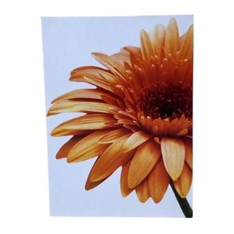 Blank Card-9590245825-Orange Sunflower