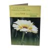 Religious-1029018214-(27379)-A Little Rain Can Straighten A Flower....
