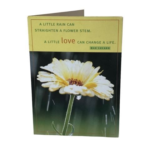 Religious-1029018214-(27379)-A Little Rain Can Straighten A Flower....
