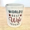 OA Mug - World Best Wife Ever