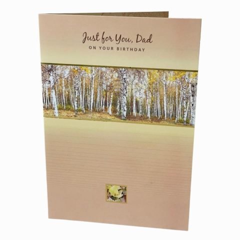 Birthday-3588248869-Just For You, Dad...