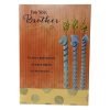 Birthday-3588261124-For You, Brother...