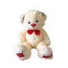Cuddly Talking Teddy Bear