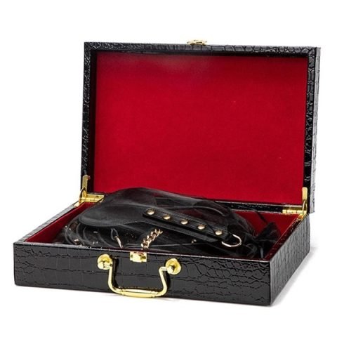 Suitcase BDSM Bondage Set