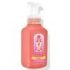 Champagne Toast Soldier Gentle And Clean Foaming Hand Soap 259mL