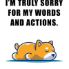 OA Card: I'm Truly Sorry...