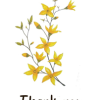 OA Card: Thank You #3