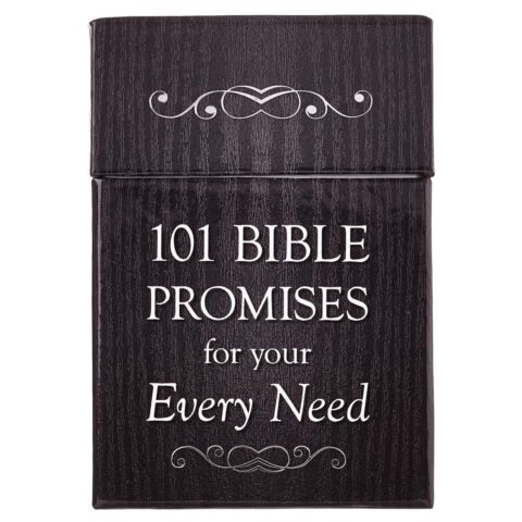Inspirational Bible Cards 101 Bible Promises For Your Every Need