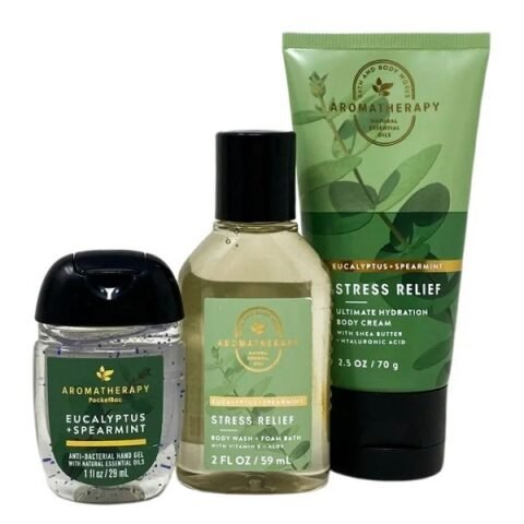 BBW Aromatherapy Eucalyptus + Spearmint - Stress Relief Set