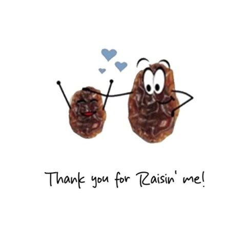 OA Cards: Thank You For Rasin' Me !